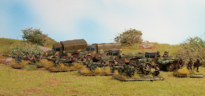 Hungarian anti-tank guns and weapons platoon